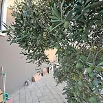 Royal Garden Villa *